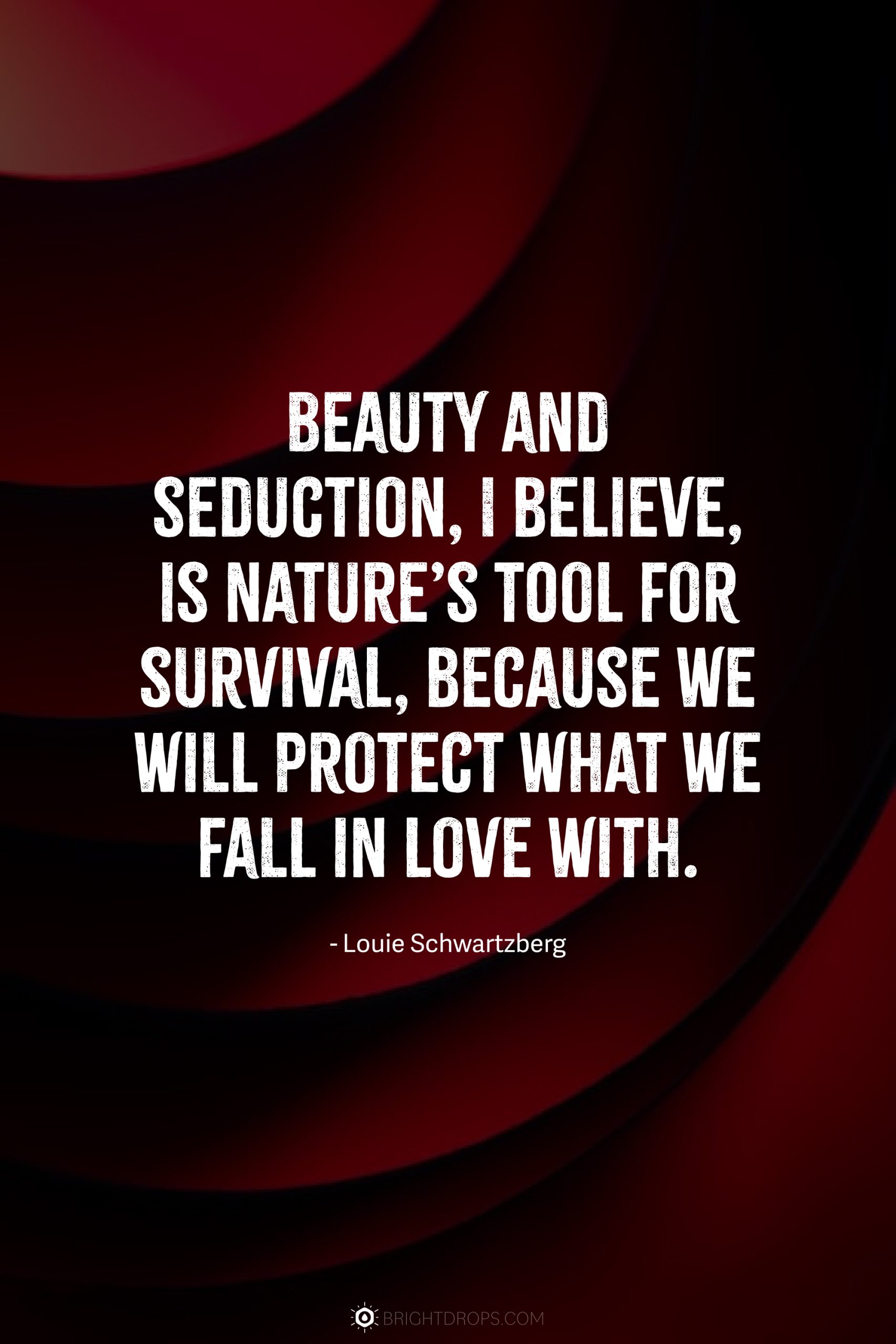 Beauty and seduction, I believe, is nature’s tool for survival, because we will protect what we fall in love with.