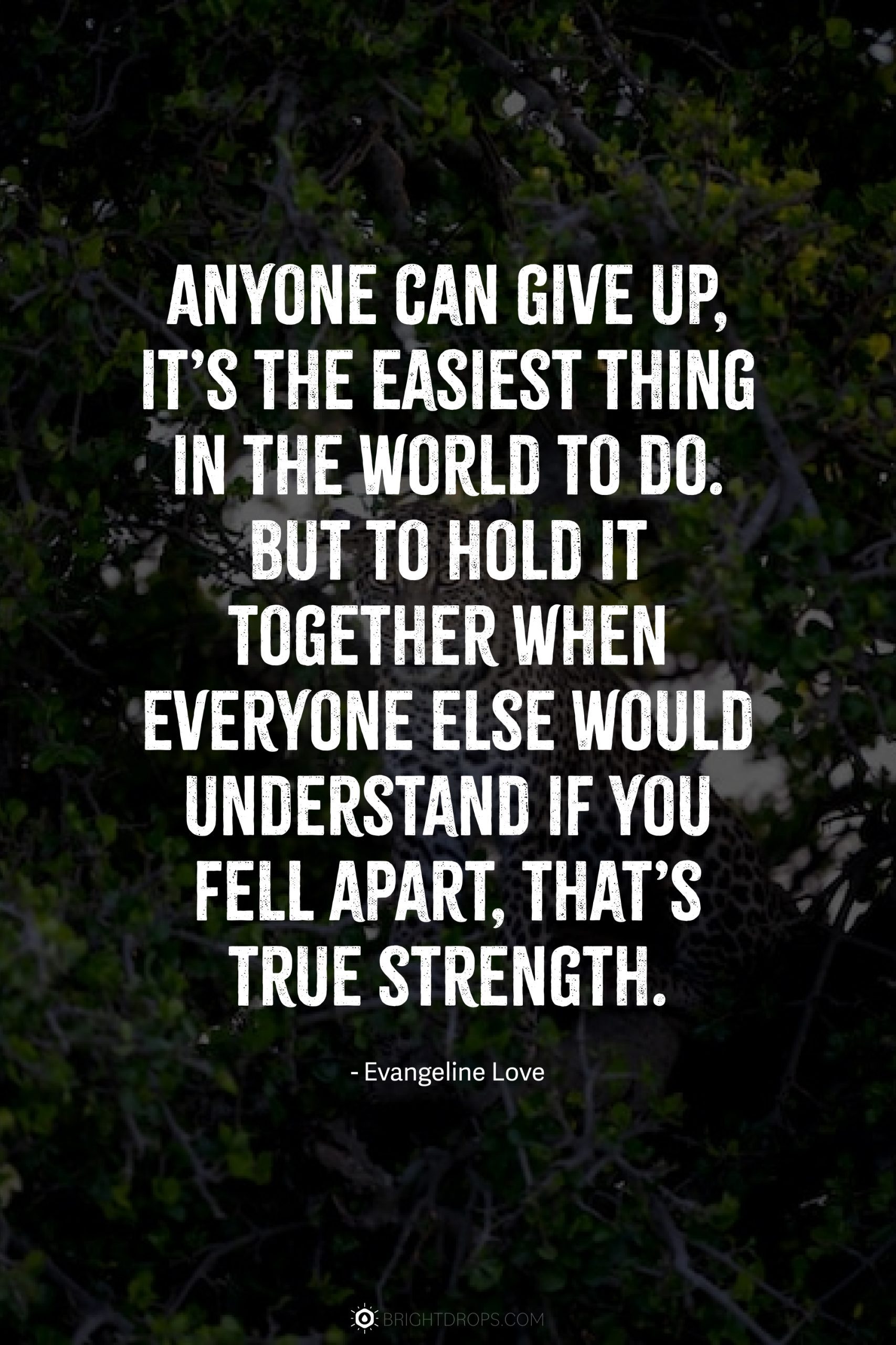 Anyone can give up, it’s the easiest thing in the world to do. But to hold it together when everyone else would understand if you fell apart, that’s true strength.