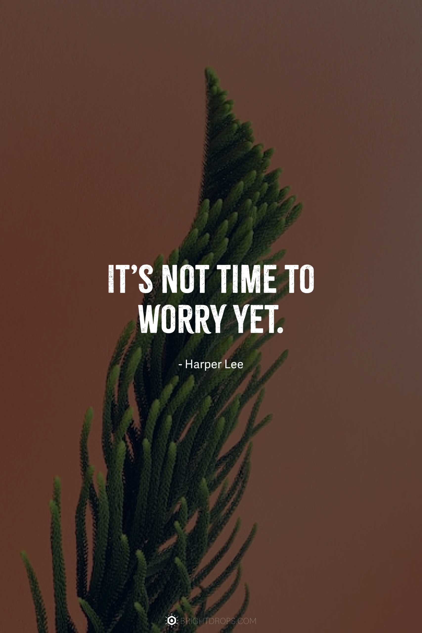 It’s not time to worry yet.