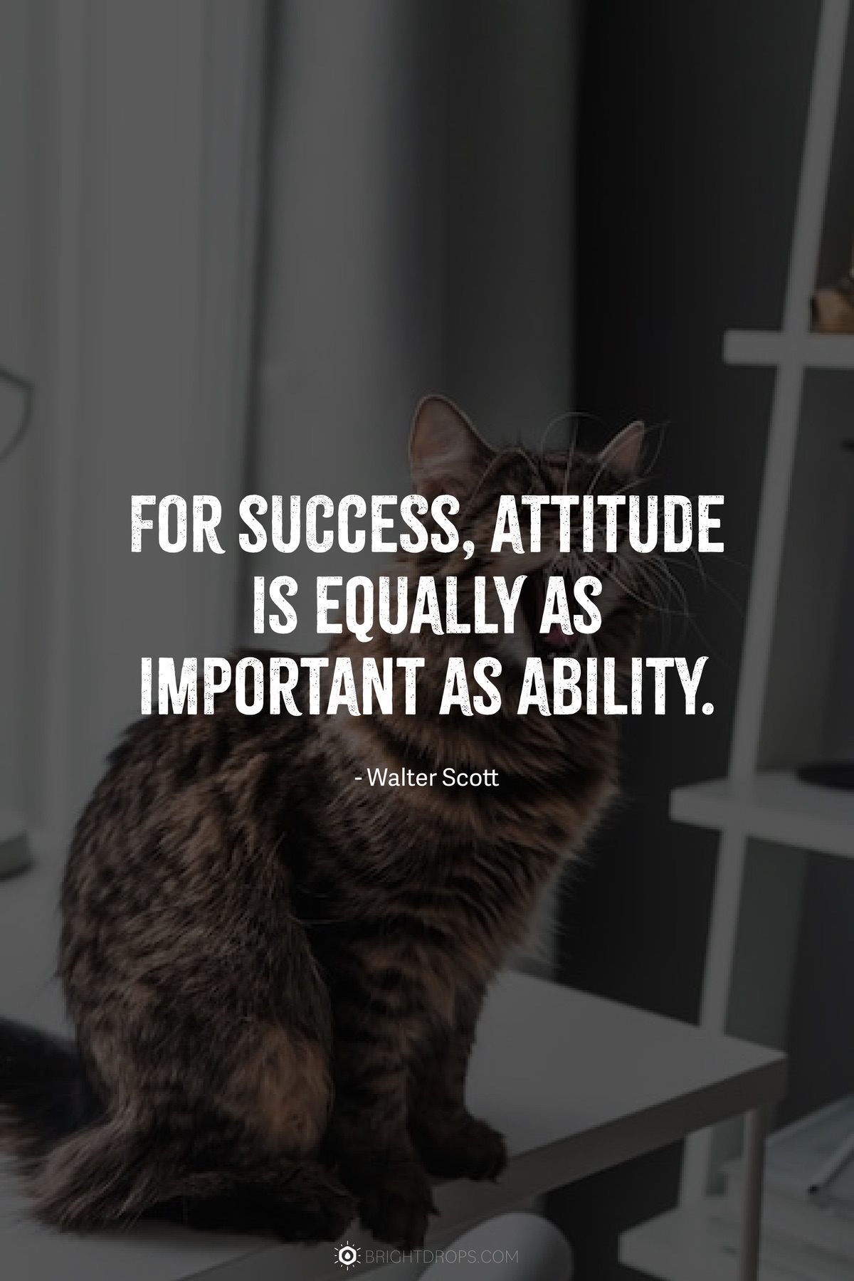 For success, attitude is equally as important as ability.