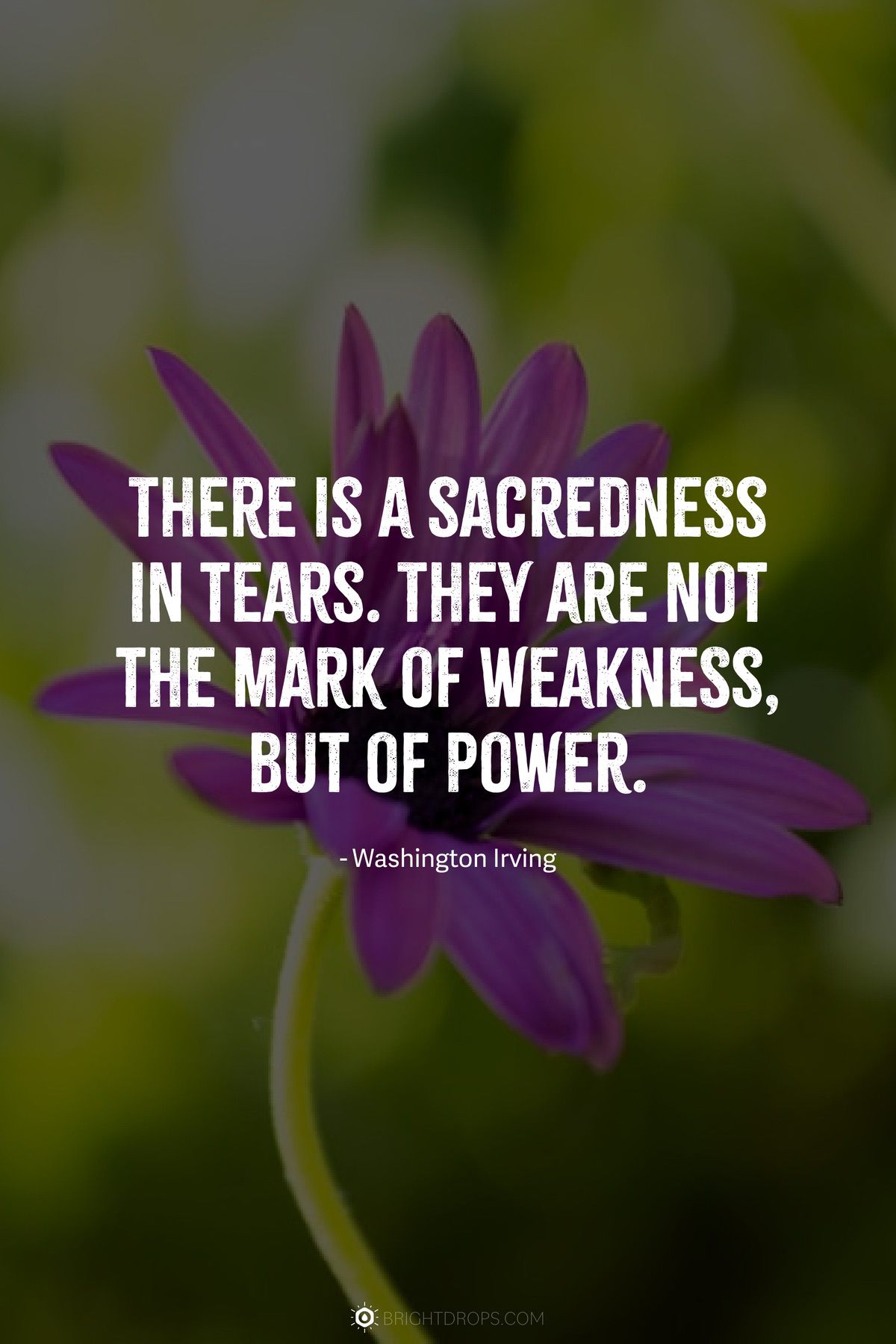There is a sacredness in tears. They are not the mark of weakness, but of power.