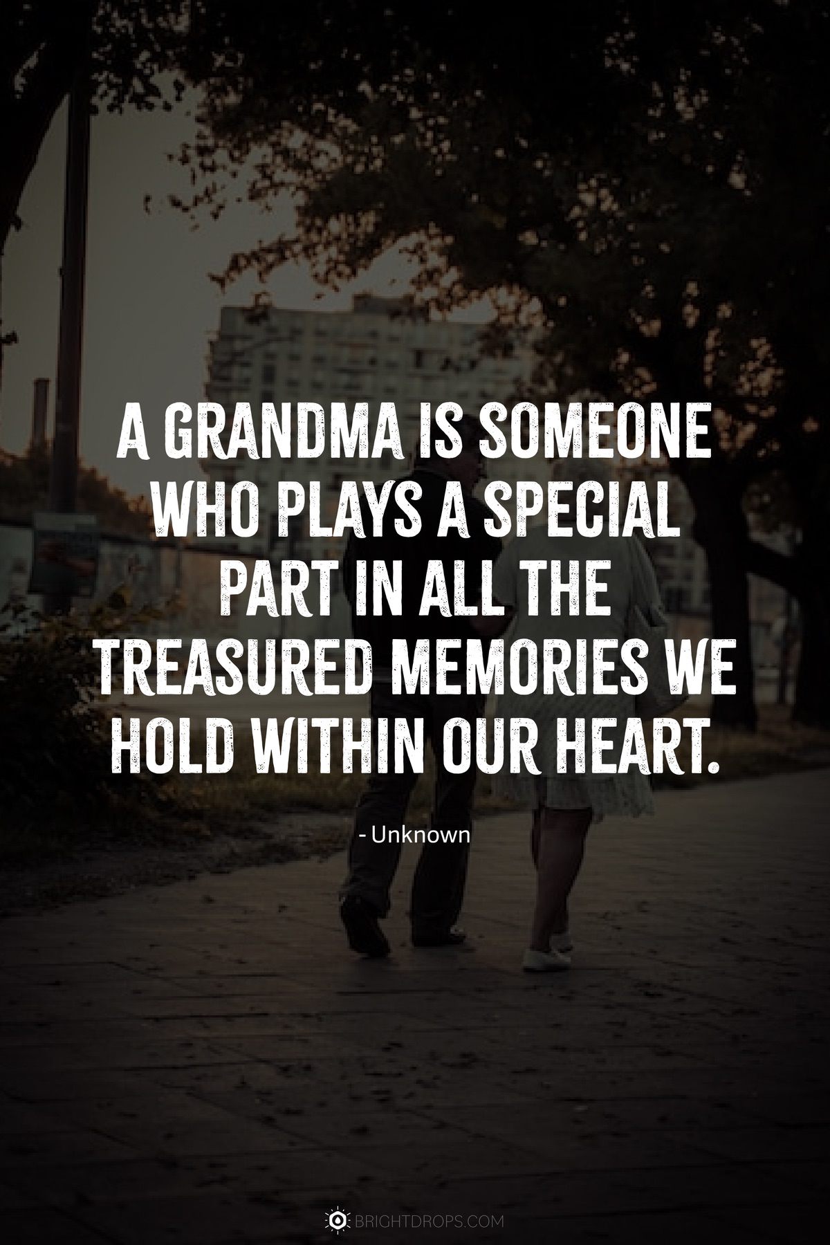 71 Heartfelt Grandma Quotes To Message Your Nana Bright Drops
