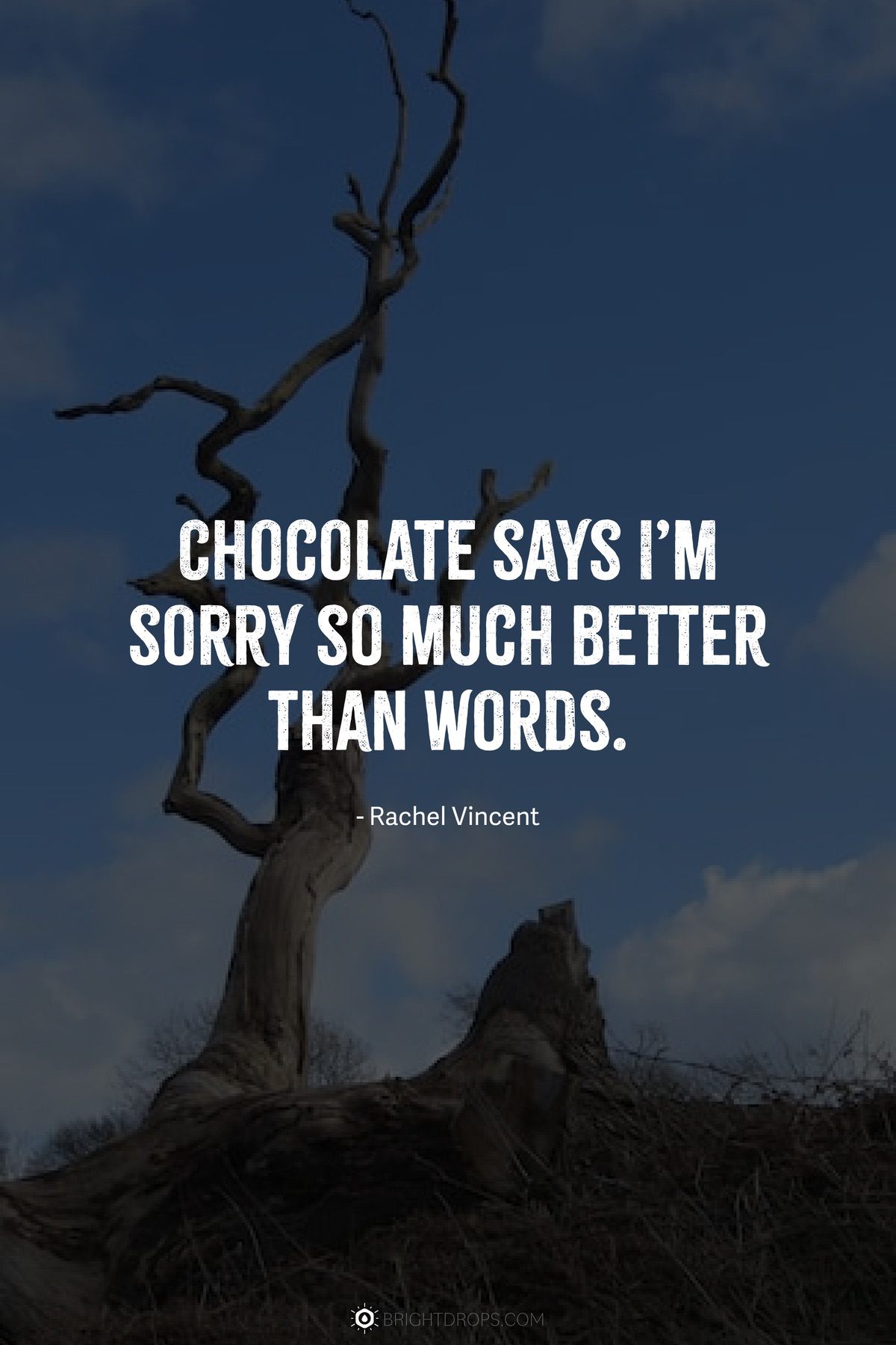 92 I m Sorry Quotes To Apologize From The Heart Bright Drops 92 I m Sorry Quotes To Apologize From The Heart Bright Drops