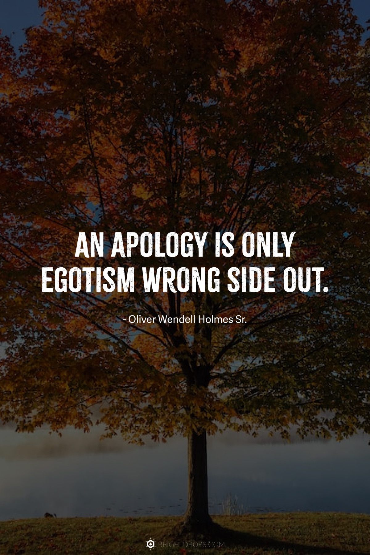 35 Sorry Love Quotes to Make a Heartfelt Apology