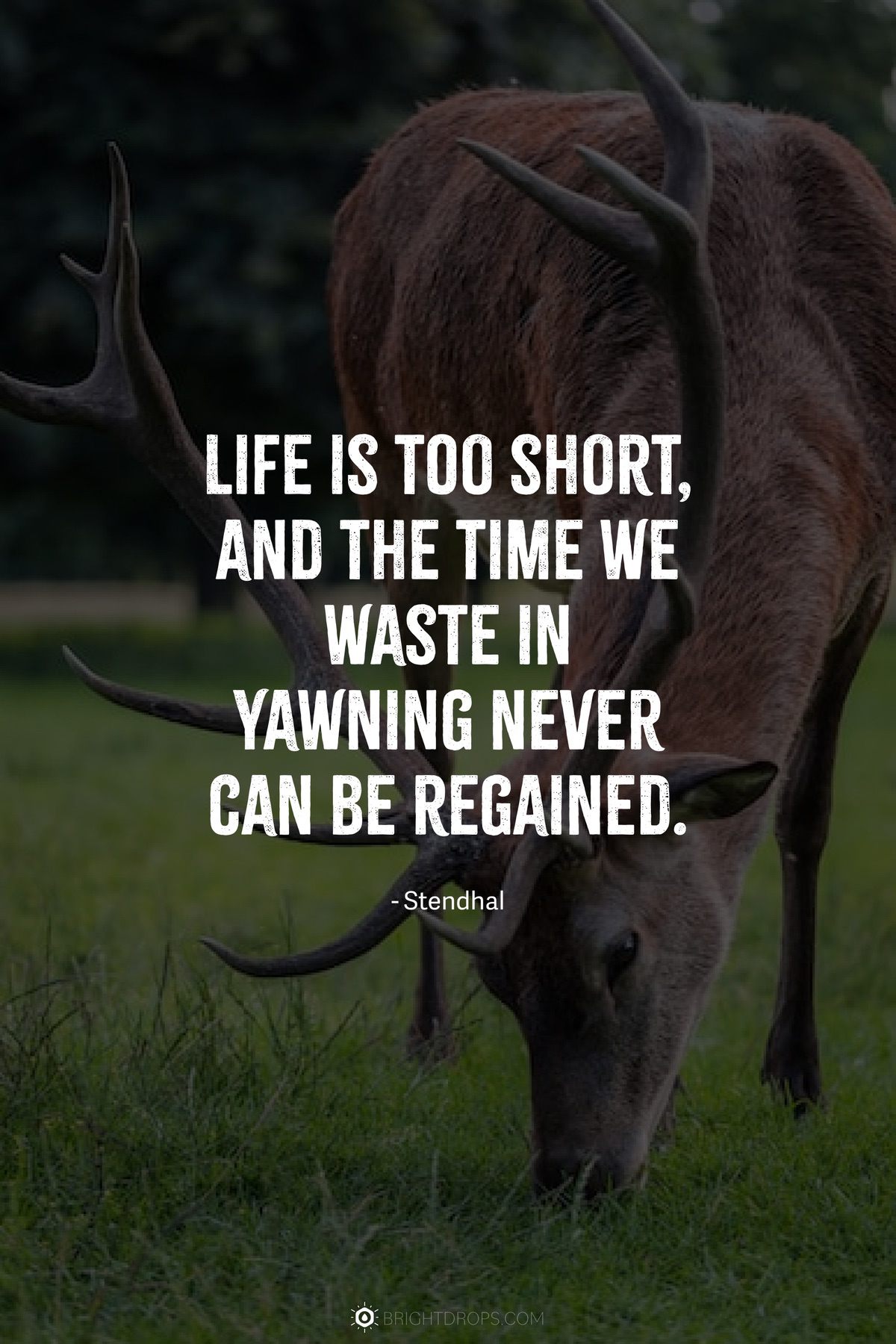 Life is too short, and the time we waste in yawning never can be regained.